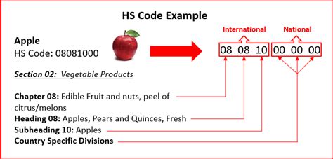 HS Codes in the US: How to find a Tariff Code .